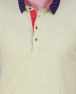 Yellow-Polo-with-Blue-Collar-for-Men-6