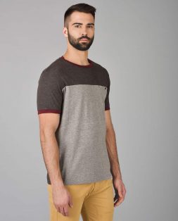 Grey-and-Brown-Tshirt-for-Men-4